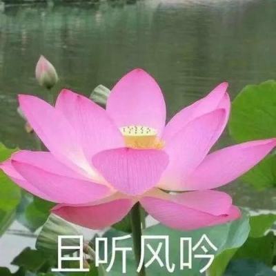 21健讯Daily｜BI卒中康复业务退出中国市场；陆巍诉张煜案一审宣判